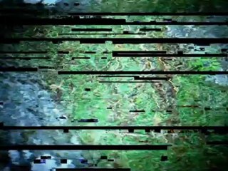 A Night In The Woods Trailer - Vertigo Films