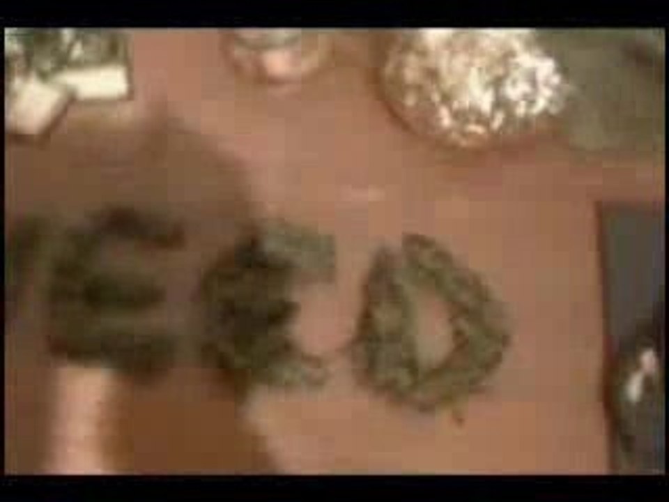 The Big 41Gram Joint Weed!!!