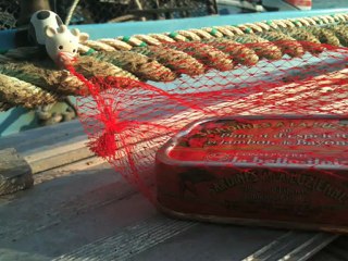 Pêche à la sardine