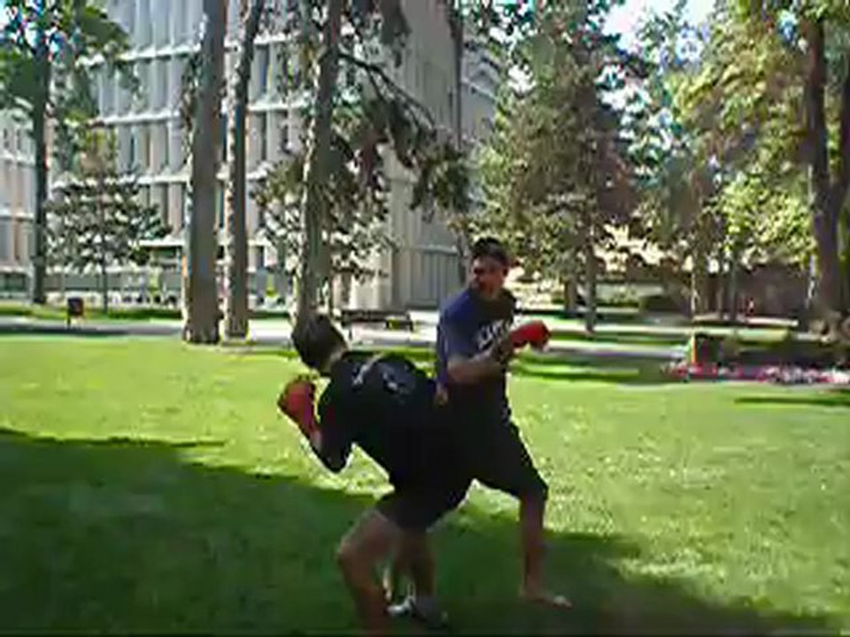 American student over France 2007