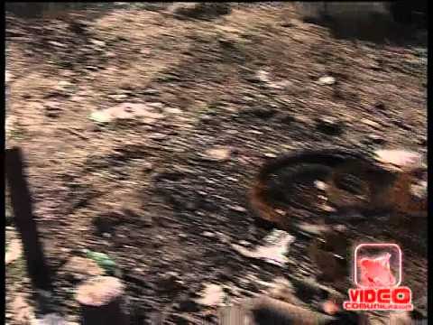 Napoli - Presentato il libro 'Terra di Veleni' (30.07.12)