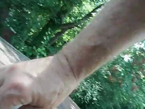 It's Time to Replace the Roof