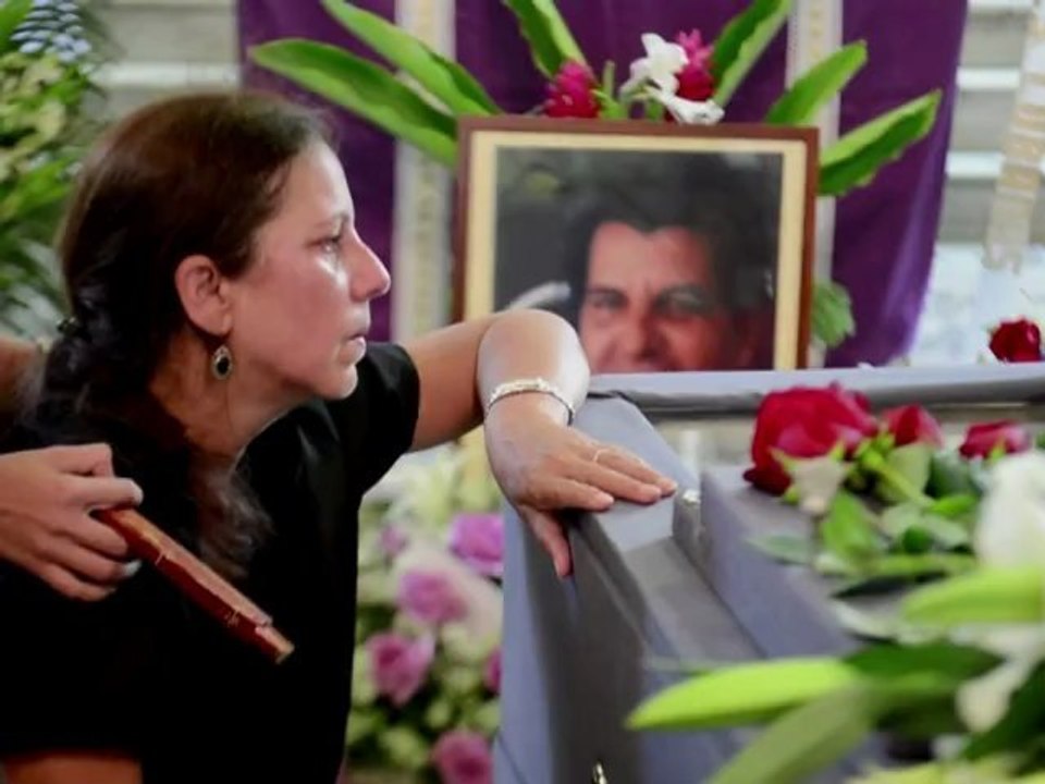 Muerte de Payá: hablan europeos