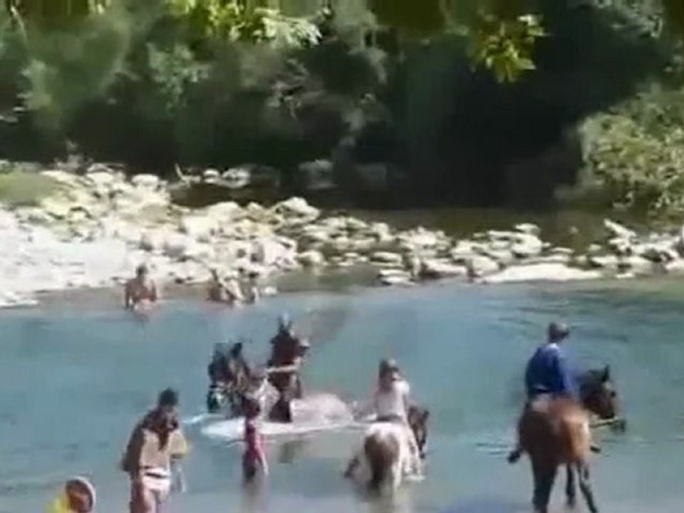 Le bain des chevaliers