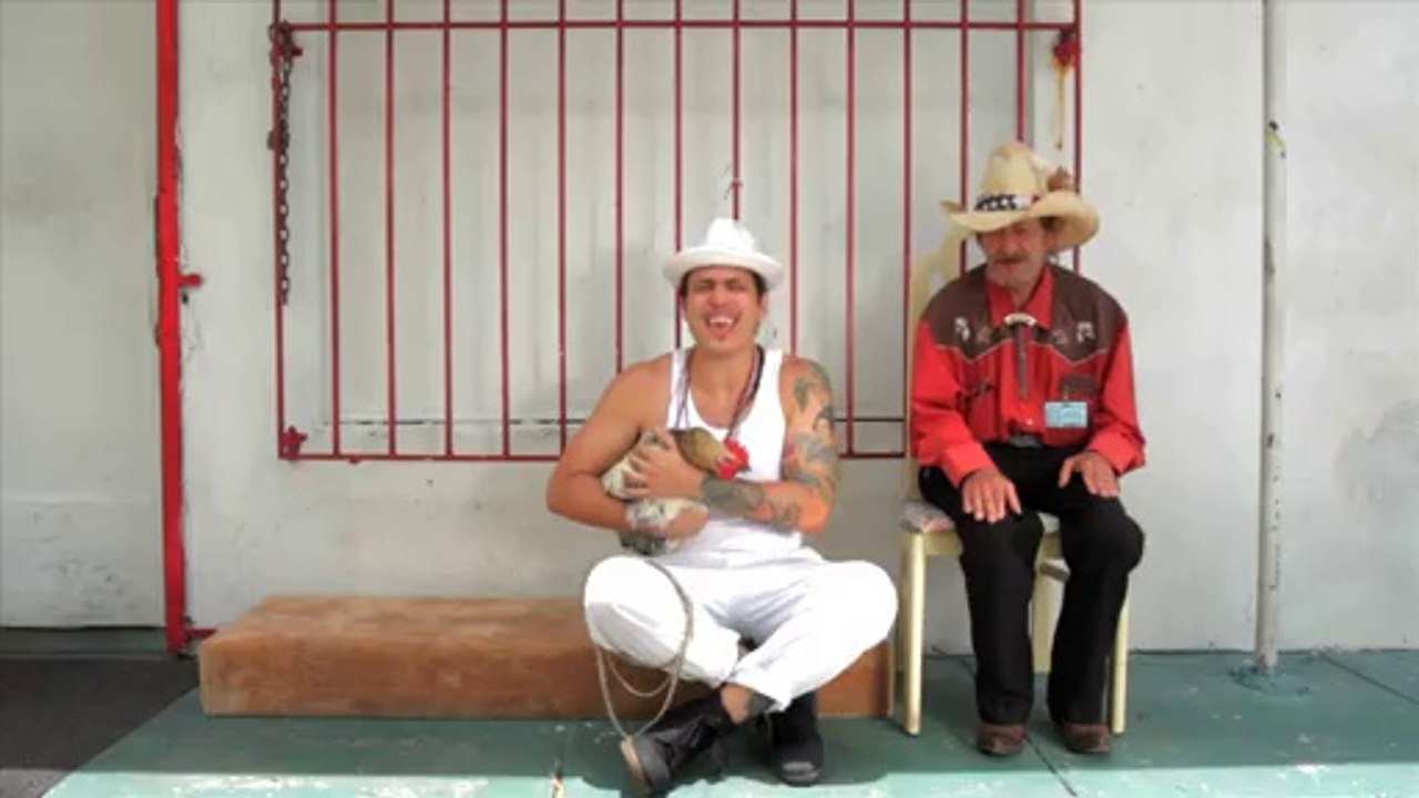 OTTO VON SCHIRACH 'SALPICA'