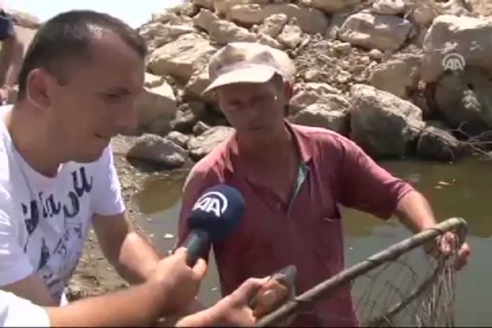 Meriç Nehri'nde pirana iddiası