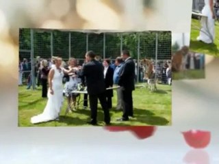 Mariage avec des tigres by Cinéma Evènement Animalier