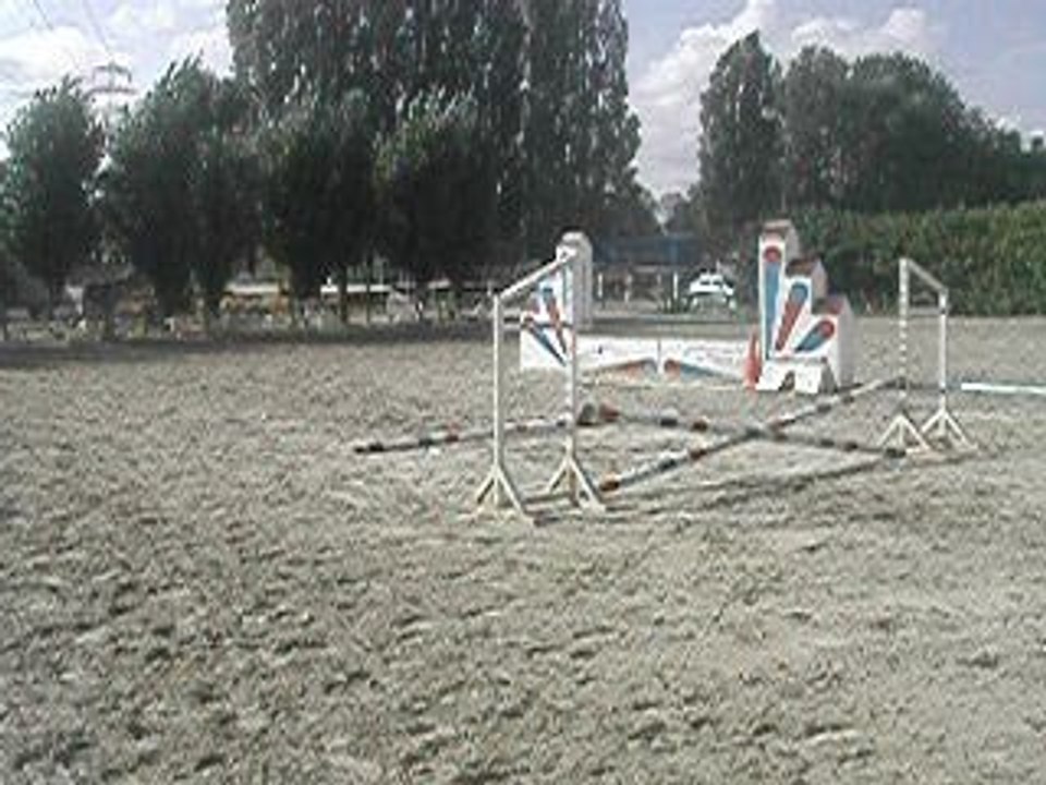 DSCN7117