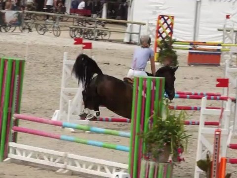 Camille et Rully D'Epte à Lamotte-Beuvron