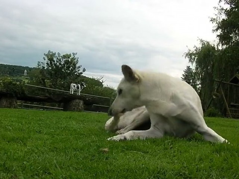 Apprentissage "prends ta queue"