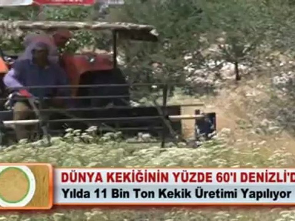 DÜNYA KEKİĞİNİN YÜZDE 60’I DENİZLİ’DEN