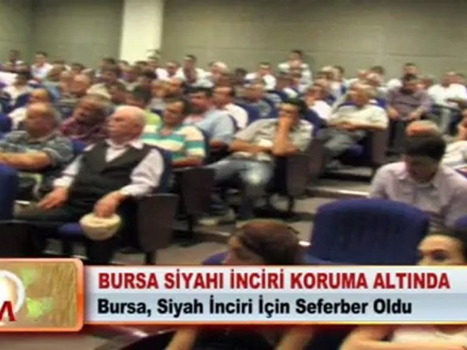 BURSA SİYAHI İNCİRİ KORUMA ALTINDA