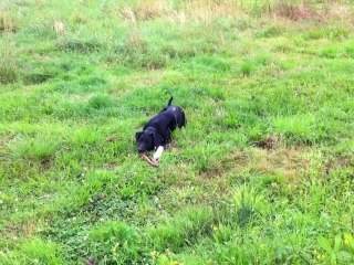 Gally s'amuse_july12 002