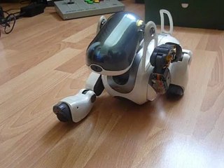 Bug Sony Aibo (sans MS)