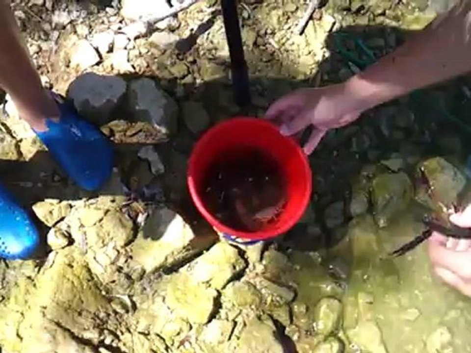 Essais Wetsuit dans Lac du Crès...Suite