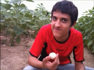 Bétisier l'attaque des zombies PUB!!!