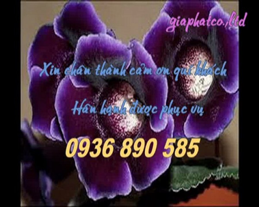 Sửa chữa chống thấm tại quận tân bình call 0936 890 585