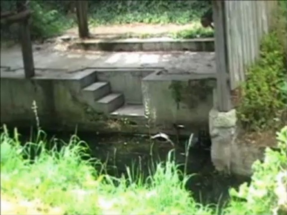 Anciens lavoirs de Mehun sur Yèvre dans le Berry