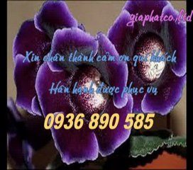 Sửa nhà chống thấm tại quận tân bình call 0936 890 585