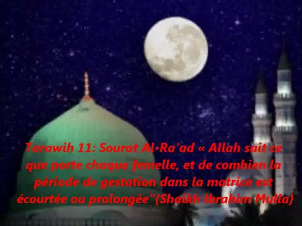 Tarawih 11 : Sourat Al-Ra'ad  "Allah sait ce que porte chaque femelle, et de combien la période de gestation dans la matrice est écourtée ou prolongée" {Shaikh Ibrahim Mulla}