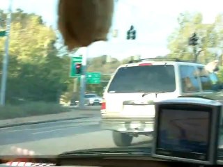 Terrance Communicates With A Dog. Animals