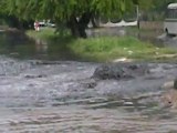 Sector La Esmeralda de Maracay inundado por aguas negras
