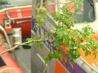 Over het algemeen rustige zomer voor KNRM - RTV Noord