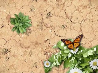 Burlington Second Mortgages