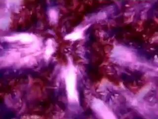 • RBD - Enseñame/Manaus 2006 !