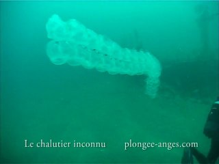 Le chalutier inconnu ou l'autre Otto du convoi 4121