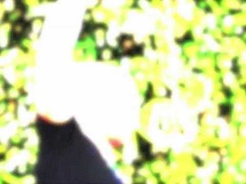 CelebrityBytes: Watch Pink Pump Iron…Sorta