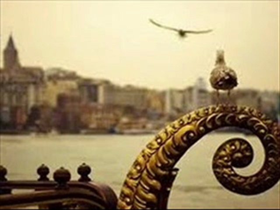 Mohsen Namjoo / Ey kash