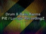 Drum And Bass Karma - PiE / Lunatic RecordingZ 2911