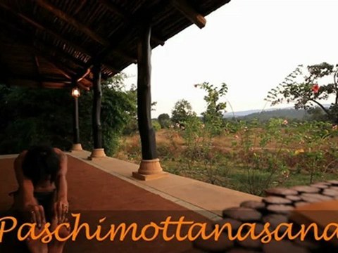 Yoga for Beginners: The Seated Forward Bend