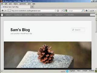 How to Create new Blog Posts in Wordpress Video: