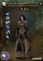 Guild Wars 2 - Armures intermédiaires du Domaine de Caudecus