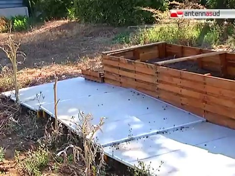 TG 31.07.12 Orto di quartiere a Bari, spazio aperto fisicamente e mentalmente