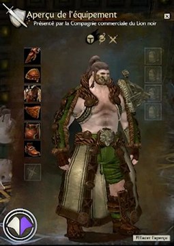 Guild Wars 2 - Armures intermédiaires des Norns