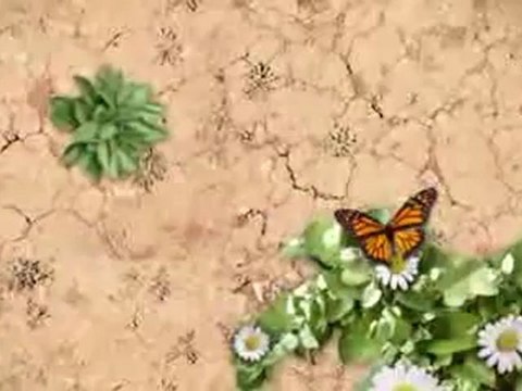 BEST BUY TCL LE39FHDF3300TA 39-Inches 1080p LED HDTV with 2-Year Limited Warranty - Black