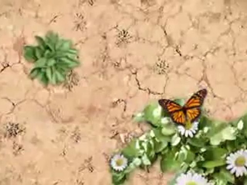 TCL LE39FHDF3300TA 39-Inches 1080p LED HDTV Best Price