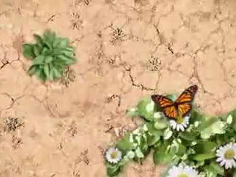 TCL LE39FHDF3300TA 39-Inches 1080p LED HDTV Best Price