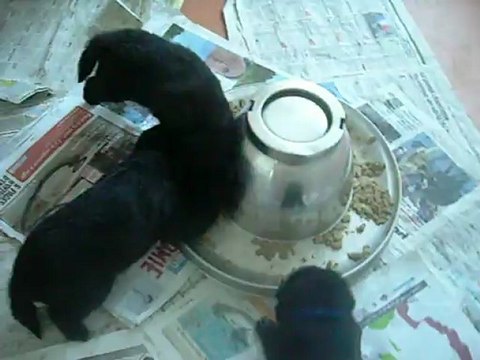 1er août 2012 : 3 semaines, 1er repas solide