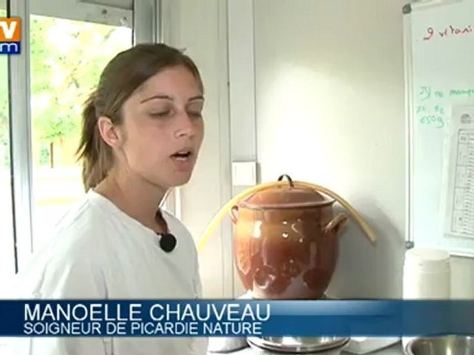 Bébés phoques cherchent parrains