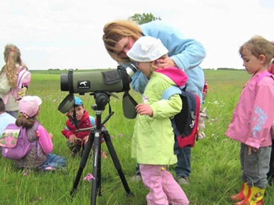 Trophées de l'eau / Commune d'Insviller