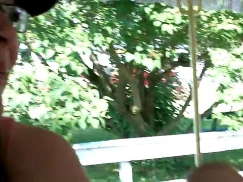 Party In The Back, Mackinac Island, Michigan