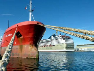 MSC MAGNIFICA (LOUL)