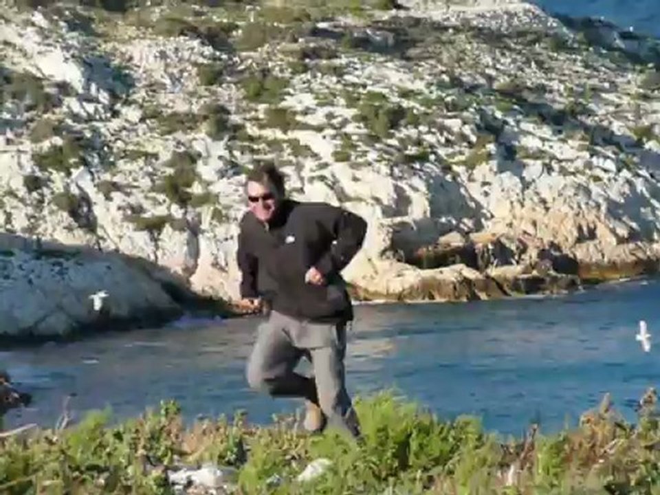 ATTAQUES DE MOUETTES (LOUL)