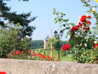 Visitez Moustier en Fagne en photos