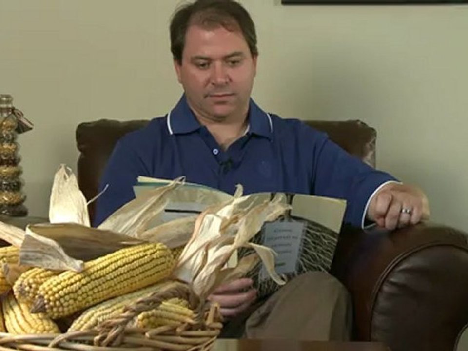 Verheerende Dürre in den USA: Lebensmittelpreise steigen