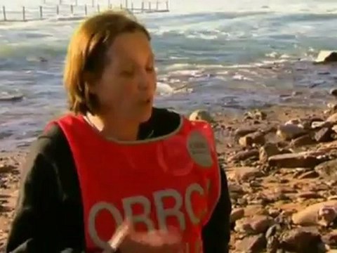 Dead whale washes ashore